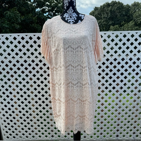 NWT The Limited Lace Mini Dress - Picture 2 of 5